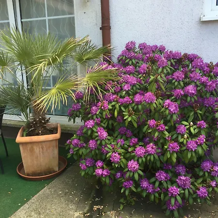 & Schneidereit Konukevi