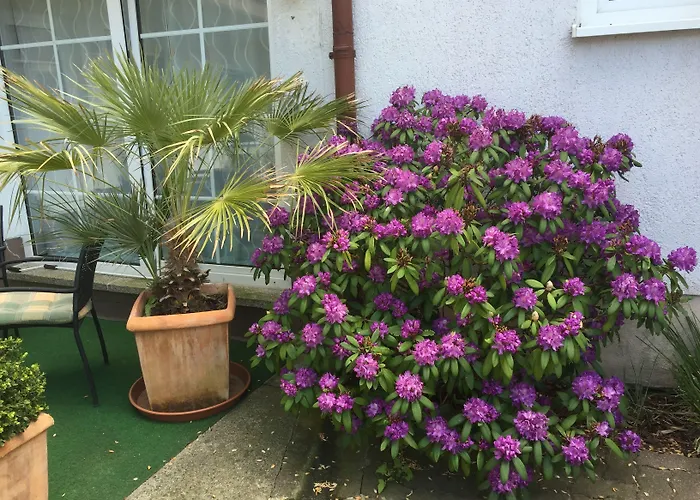 & Schneidereit Гостевой дом